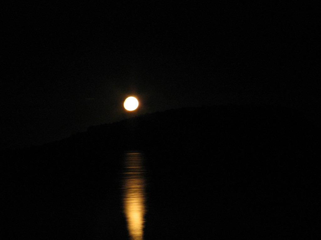 moonrise encounter bay
